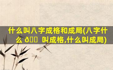 什么叫八字成格和成局(八字什么 🐠 叫成格,什么叫成局)